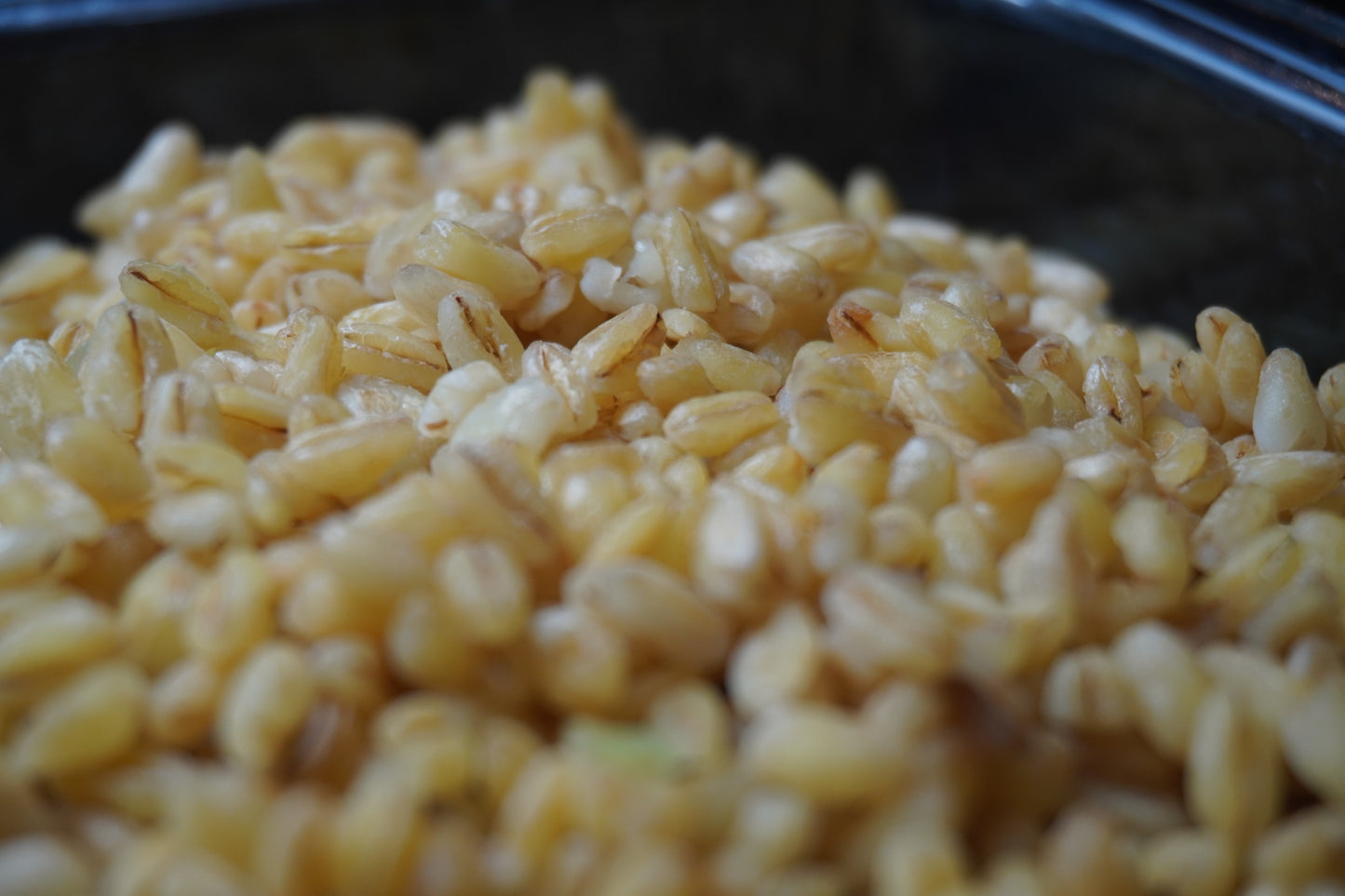 Pack 5 recettes par semaine pendant 1 an